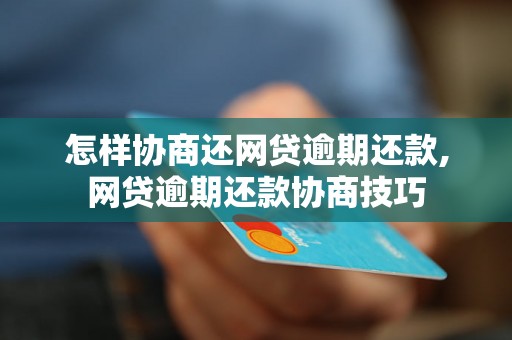 怎样协商还网贷逾期还款,网贷逾期还款协商技巧