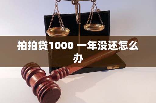 拍拍贷1000 一年没还怎么办