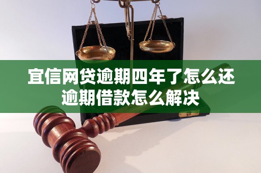 宜信网贷逾期四年了怎么还逾期借款怎么解决