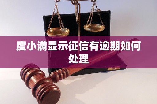 度小满显示征信有逾期如何处理