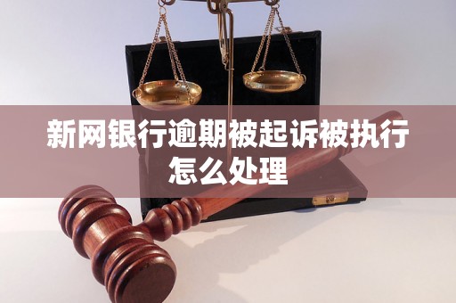 新网银行逾期被起诉被执行怎么处理