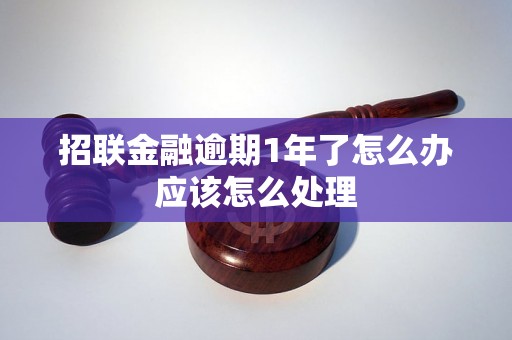 招联金融逾期1年了怎么办应该怎么处理