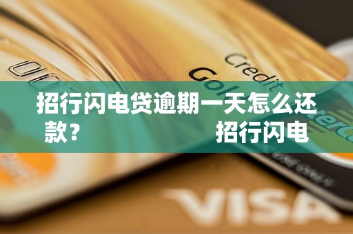 招行闪电贷逾期一天怎么还款？                    招行闪电贷逾期一天怎么还款快速解决方法