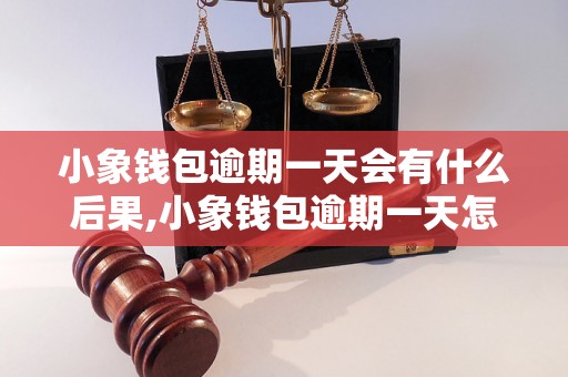 小象钱包逾期一天会有什么后果,小象钱包逾期一天怎么解决