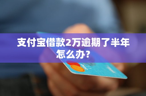 支付宝借款2万逾期了半年怎么办？