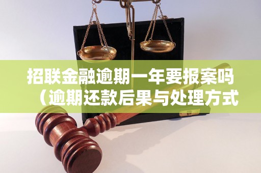 招联金融逾期一年要报案吗（逾期还款后果与处理方式）