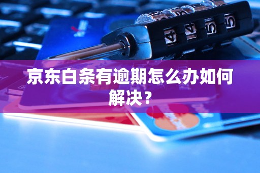 京东白条有逾期怎么办如何解决？