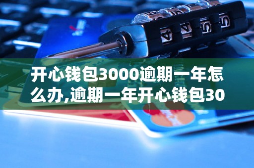 开心钱包3000逾期一年怎么办,逾期一年开心钱包3000如何处理