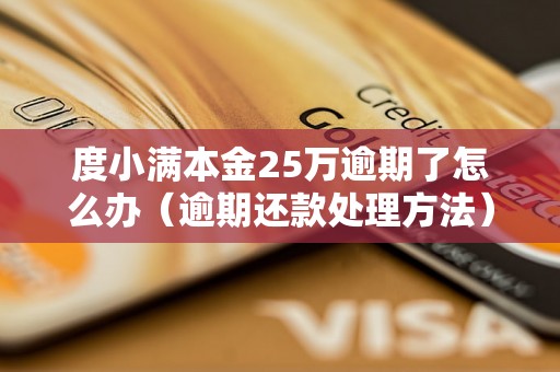 度小满本金25万逾期了怎么办（逾期还款处理方法）