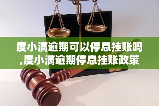 度小满逾期可以停息挂账吗,度小满逾期停息挂账政策解析