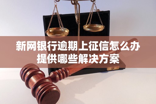 新网银行逾期上征信怎么办提供哪些解决方案