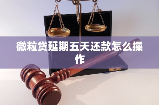 微粒贷延期五天还款怎么操作