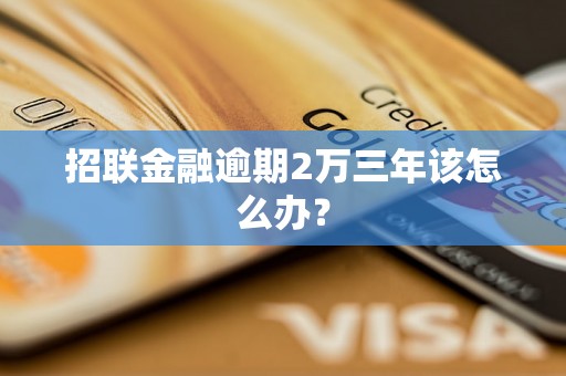 招联金融逾期2万三年该怎么办？