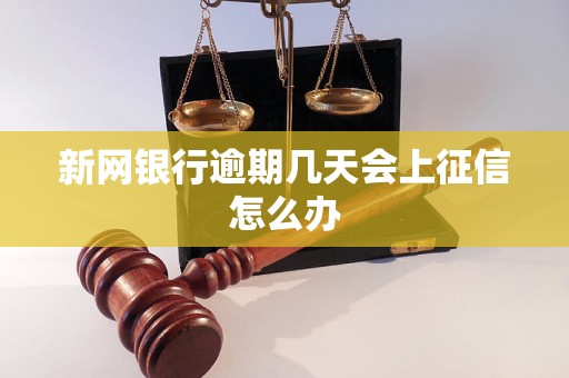 新网银行逾期几天会上征信怎么办