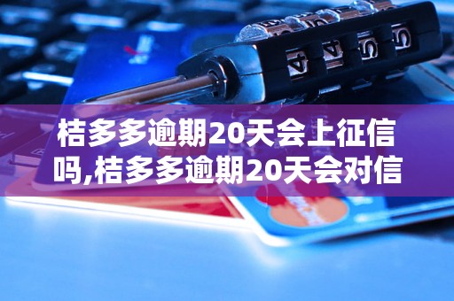 桔多多逾期20天会上征信吗,桔多多逾期20天会对信用记录有什么影响