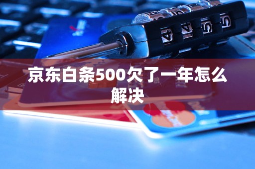 京东白条500欠了一年怎么解决