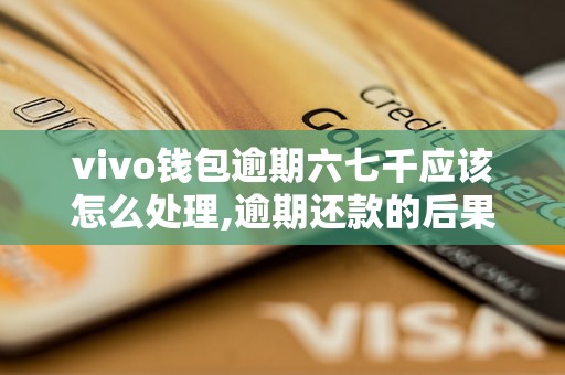 vivo钱包逾期六七千应该怎么处理,逾期还款的后果及解决办法