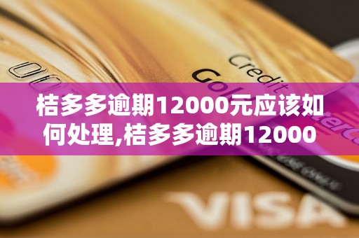 桔多多逾期12000元应该如何处理,桔多多逾期12000元逾期利息计算公式