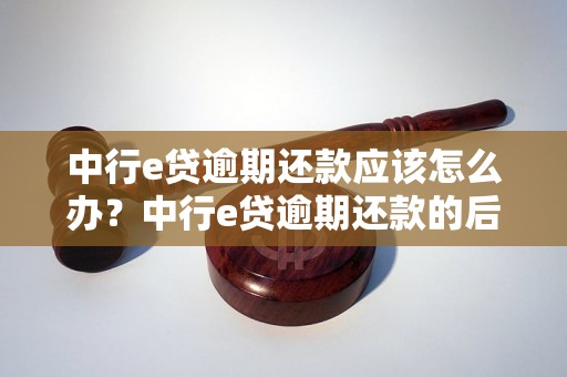 中行e贷逾期还款应该怎么办？中行e贷逾期还款的后果有哪些？