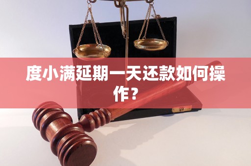 度小满延期一天还款如何操作？