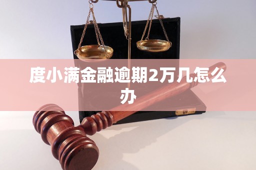 度小满金融逾期2万几怎么办