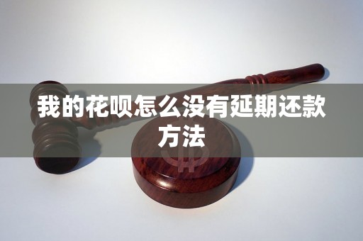 我的花呗怎么没有延期还款方法