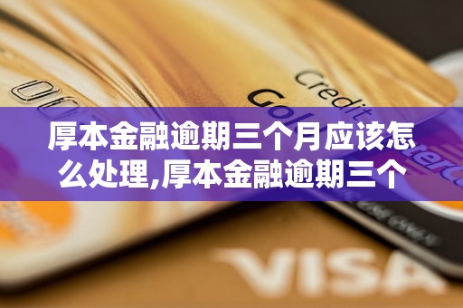 厚本金融逾期三个月应该怎么处理,厚本金融逾期三个月的解决方案