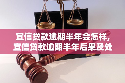 宜信贷款逾期半年会怎样,宜信贷款逾期半年后果及处理方法