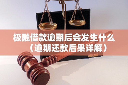 极融借款逾期后会发生什么（逾期还款后果详解）