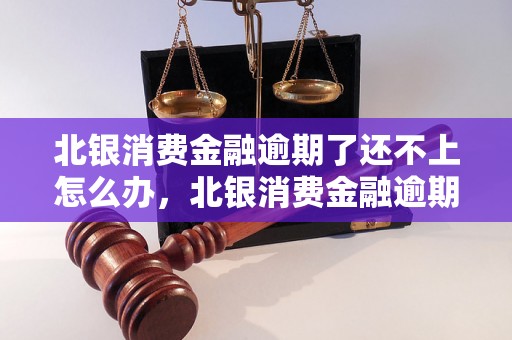 北银消费金融逾期了还不上怎么办，北银消费金融逾期处理方法总结