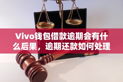 Vivo钱包借款逾期会有什么后果，逾期还款如何处理