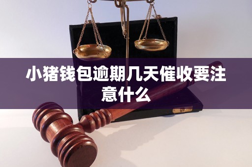 小猪钱包逾期几天催收要注意什么