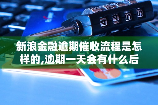 新浪金融逾期催收流程是怎样的,逾期一天会有什么后果