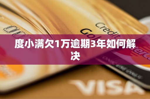 度小满欠1万逾期3年如何解决