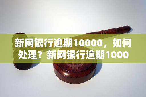 新网银行逾期10000，如何处理？新网银行逾期10000应该怎么办？