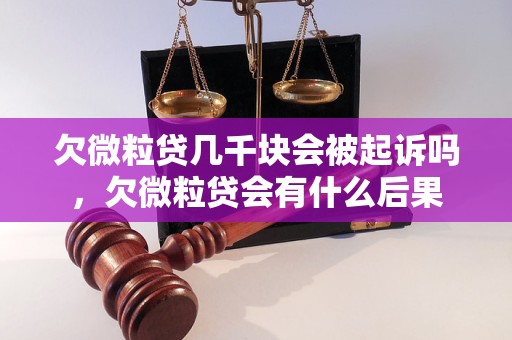 欠微粒贷几千块会被起诉吗，欠微粒贷会有什么后果