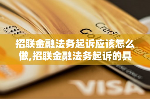 招联金融法务起诉应该怎么做,招联金融法务起诉的具体流程