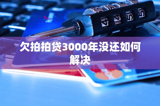 欠拍拍贷3000年没还如何解决