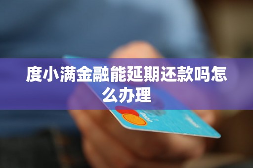 度小满金融能延期还款吗怎么办理