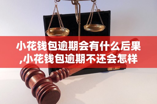 小花钱包逾期会有什么后果,小花钱包逾期不还会怎样