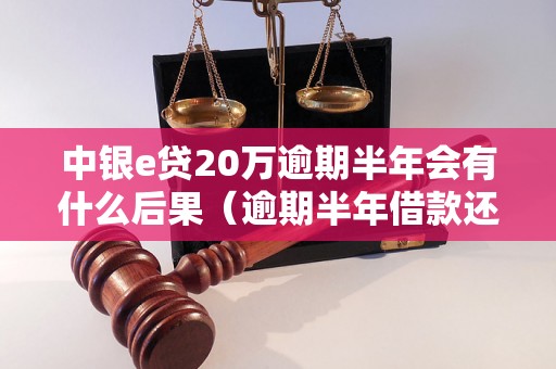 中银e贷20万逾期半年会有什么后果（逾期半年借款还款处理方式）