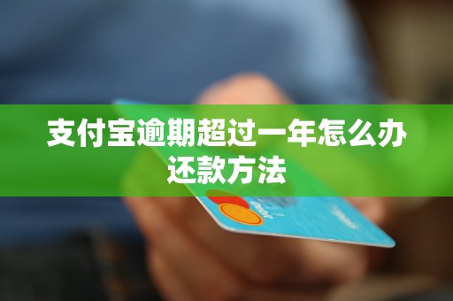 支付宝逾期超过一年怎么办还款方法