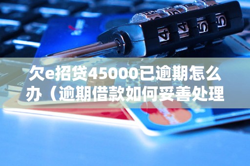 欠e招贷45000已逾期怎么办（逾期借款如何妥善处理）