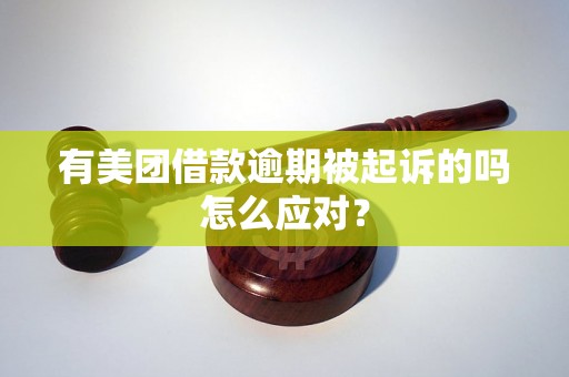 有美团借款逾期被起诉的吗怎么应对？