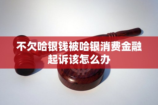 不欠哈银钱被哈银消费金融起诉该怎么办