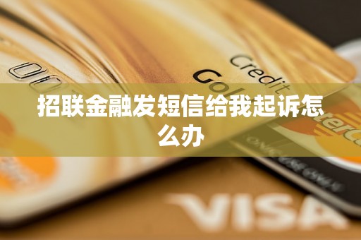 招联金融发短信给我起诉怎么办