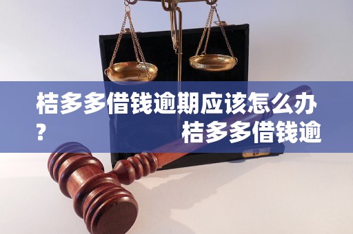 桔多多借钱逾期应该怎么办？                    桔多多借钱逾期会有什么后果？