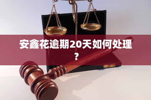 安鑫花逾期20天如何处理？