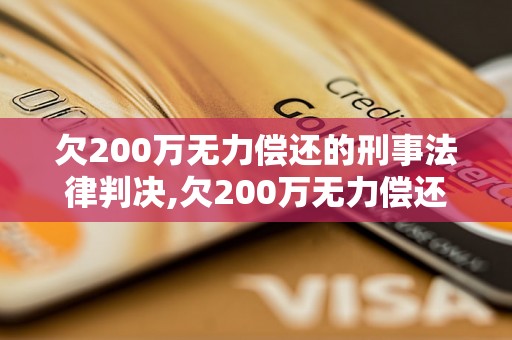 欠200万无力偿还的刑事法律判决,欠200万无力偿还的经济责任承担方式