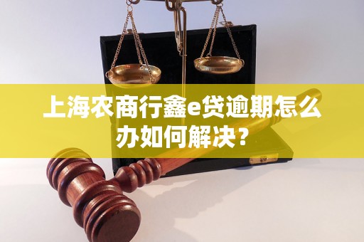 上海农商行鑫e贷逾期怎么办如何解决？